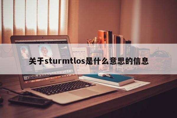 关于sturmtlos是什么意思的信息