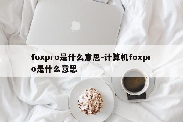 foxpro是什么意思-计算机foxpro是什么意思